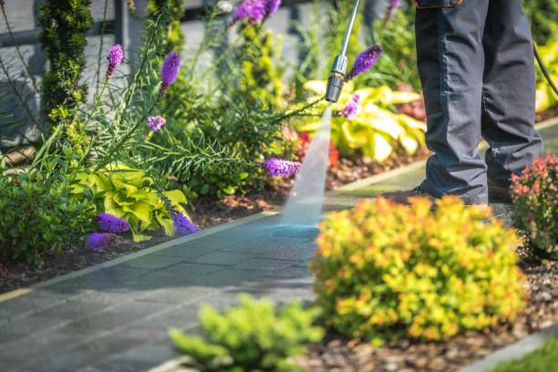 Best Driveway Pressure Washing  in Lake Belvedere Estates, FL